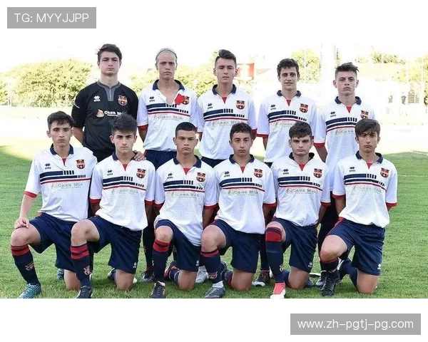 意甲联赛参赛球队数量及赛制全面介绍